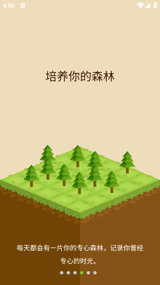 Forest专注森林